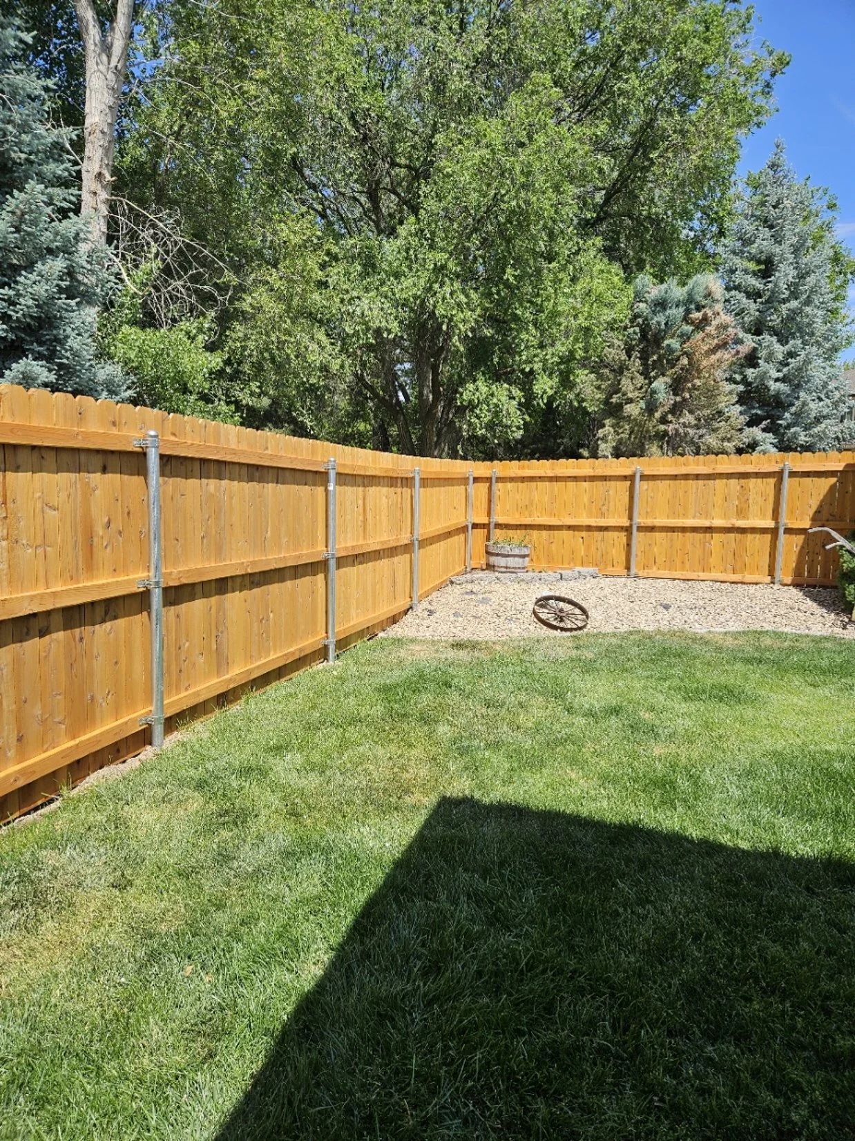 Restored cedar fence in a Meridian backyard