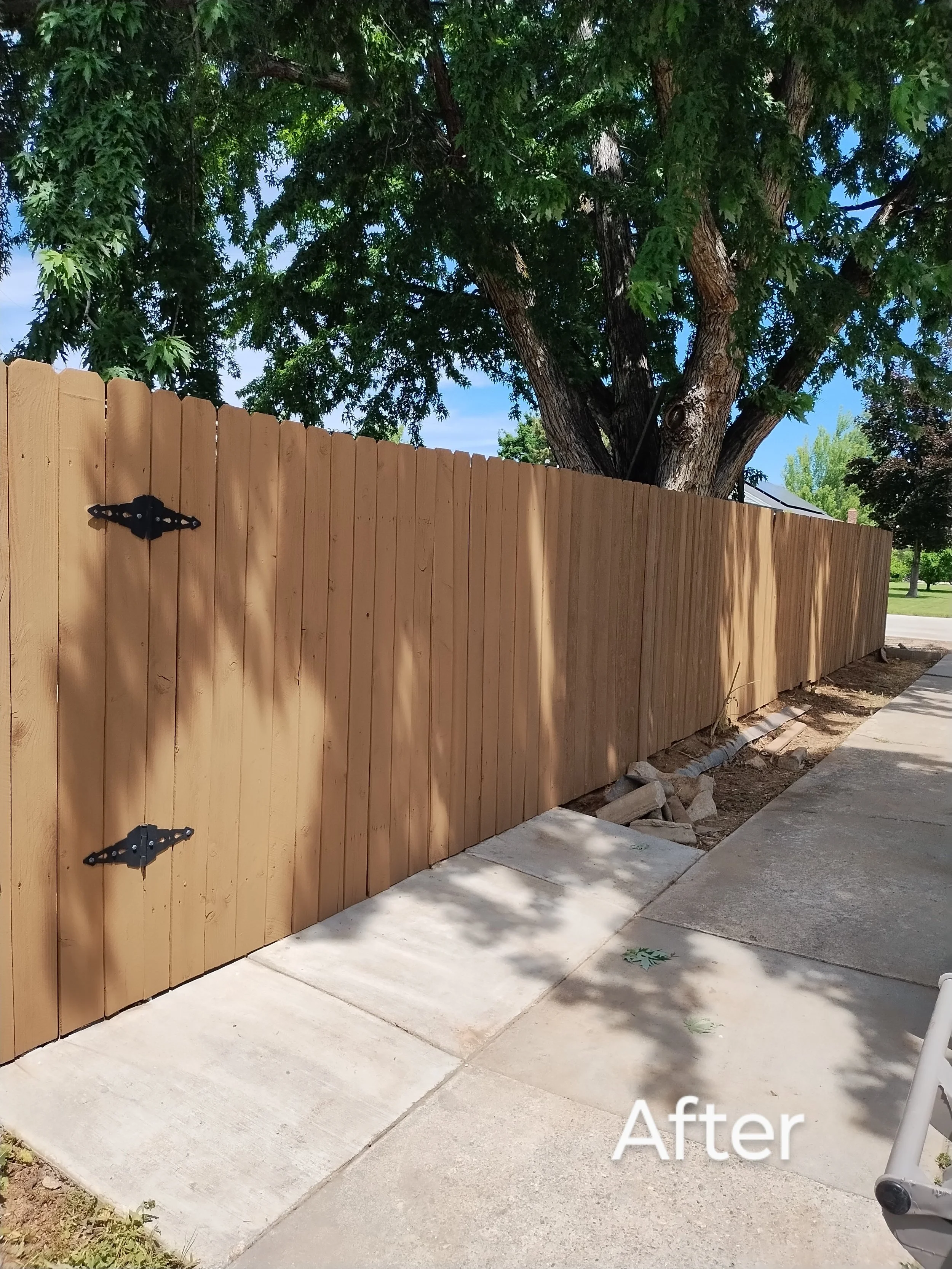 Tan-stained privacy fence after restoration