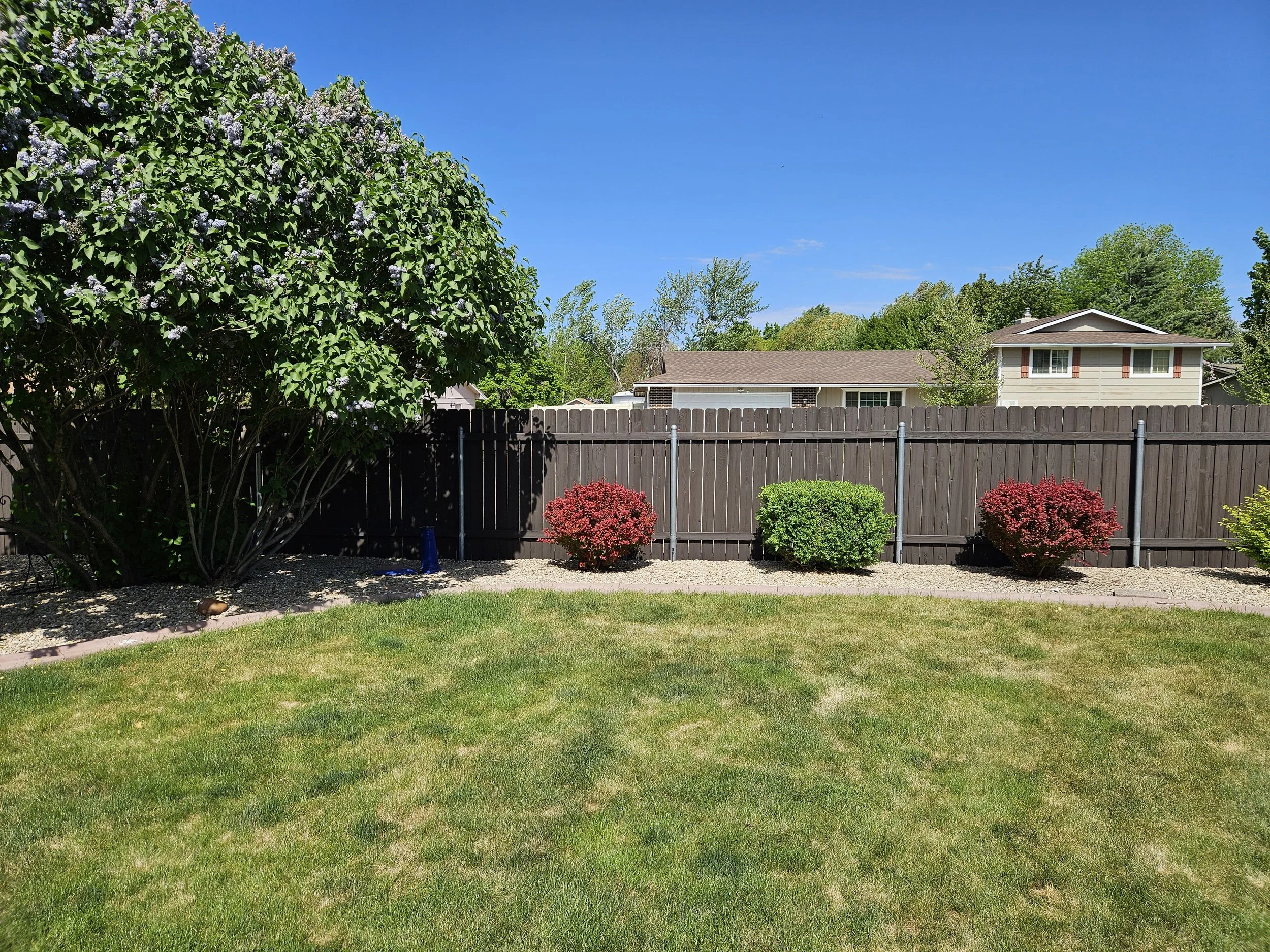 Red stain privacy fence around a backyard